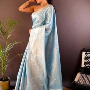 Blue Banarasi Kanjivaram Silk Saree